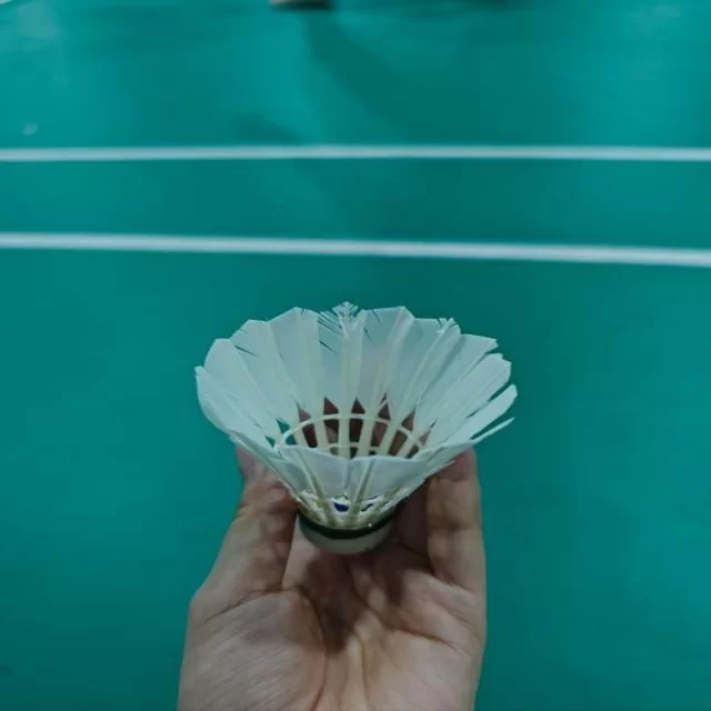 解析网球红土赛程观察，第663组的赛程视角揭秘
